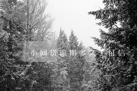 小网贷逾期多久上征信 小网贷逾期多久上征信