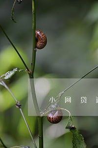 小网贷逾期被催收威胁 小网贷逾期被催收威胁