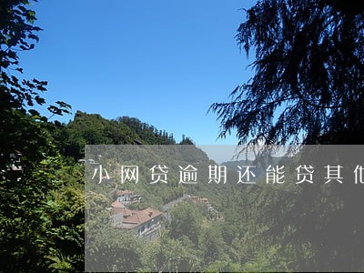 小网贷逾期还能贷其他的款吗 小网贷逾期还能贷其他的款吗
