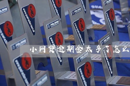 小网贷逾期金太多了怎么办 小网贷逾期金太多了怎么办