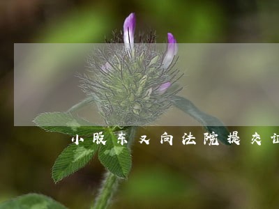 小股东又向法院提交证据 小股东又向法院提交证据