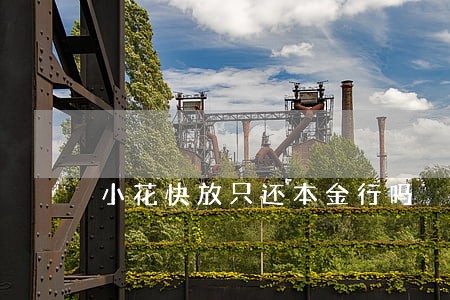 小花快放只还本金行吗 小花快放只还本金行吗