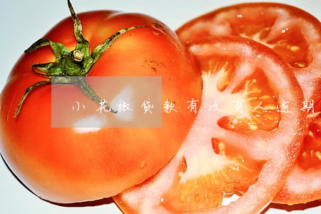 小花椒贷款有没有人逾期 小花椒贷款有没有人逾期
