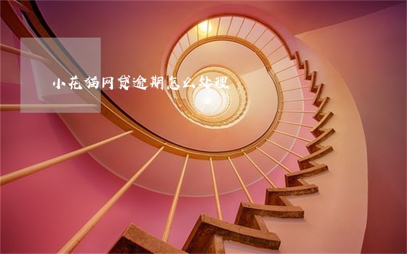 小花猫网贷逾期怎么处理 小花猫网贷逾期怎么处理
