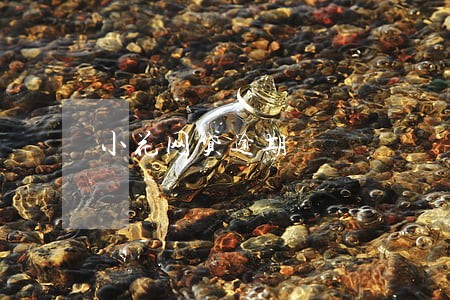 小花网贷逾期 小花网贷逾期
