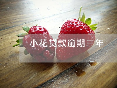 小花贷款逾期三年 小花贷款逾期三年