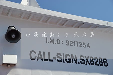 小花逾期20天后果 小花逾期20天后果