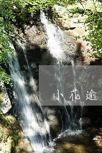 小花逾期别的网贷怎么不能借款啦 小花逾期别的网贷怎么不能借款啦