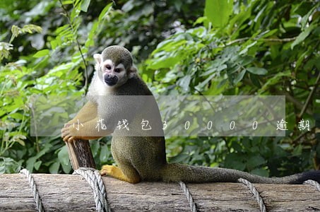 小花钱包30000逾期3年 小花钱包30000逾期3年