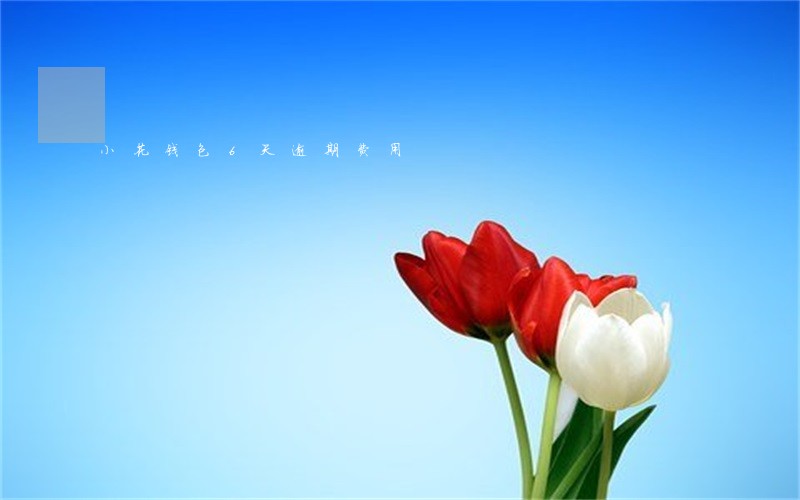 小花钱包6天逾期费用