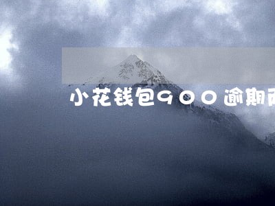 小花钱包900逾期两天 小花钱包900逾期两天