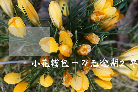 小花钱包一万元逾期2年了 小花钱包一万元逾期2年了