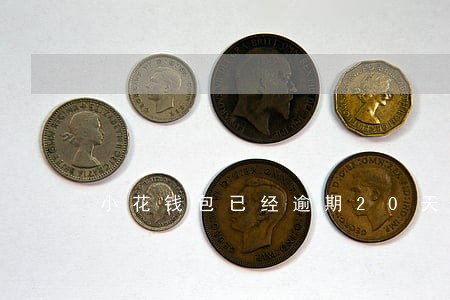 小花钱包已经逾期20天了 小花钱包已经逾期20天了