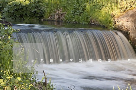小花钱包有没有逾期1年的 小花钱包有没有逾期1年的