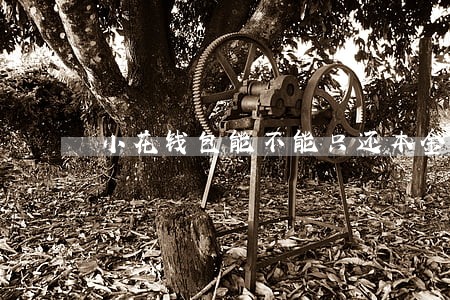 小花钱包能不能只还本金 小花钱包能不能只还本金