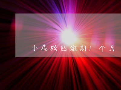 小花钱包逾期1个月