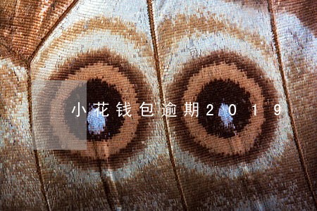 小花钱包逾期2019 小花钱包逾期2019
