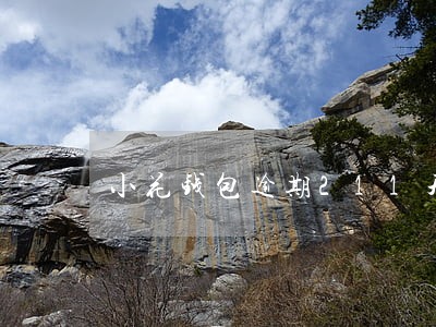 小花钱包逾期211天