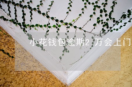 小花钱包逾期2万会上门吗 小花钱包逾期2万会上门吗