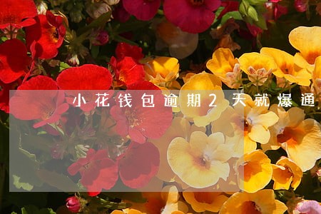 小花钱包逾期2天就爆通讯录吗 小花钱包逾期2天就爆通讯录吗