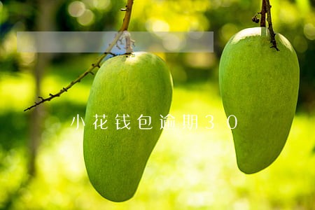 小花钱包逾期30 小花钱包逾期30