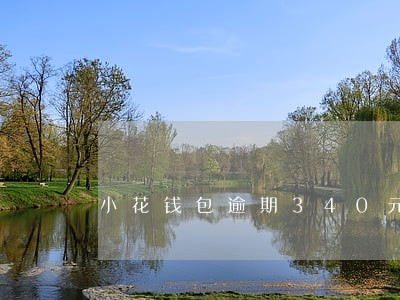 小花钱包逾期340元 小花钱包逾期340元