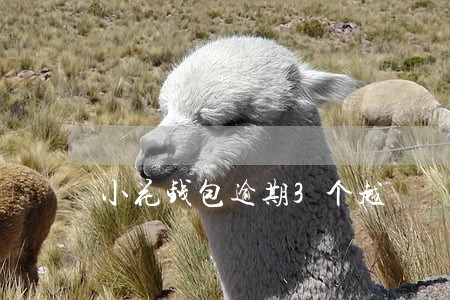 小花钱包逾期3个越 小花钱包逾期3个越