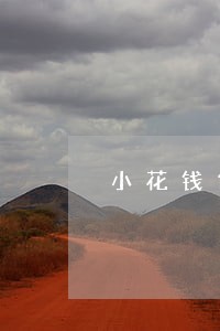 小花钱包逾期4天让还全款 小花钱包逾期4天让还全款