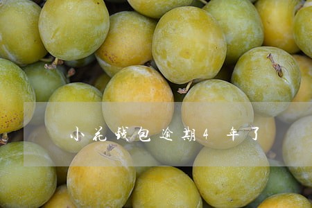 小花钱包逾期4年了 小花钱包逾期4年了
