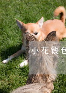 小花钱包逾期5天怎么办