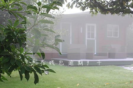 小花钱包逾期9千
