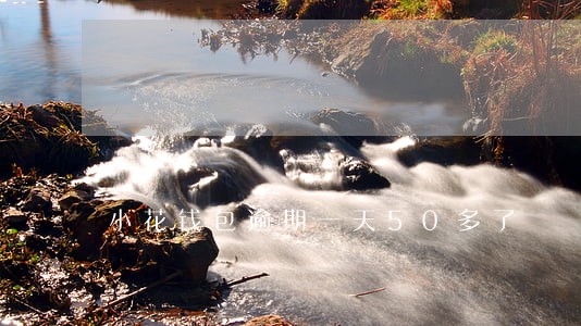 小花钱包逾期一天50多了 小花钱包逾期一天50多了