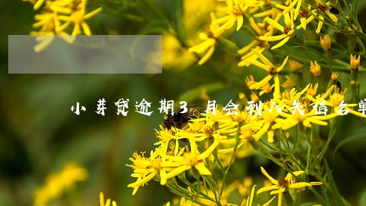 小芽贷逾期3月会列入失信名单吗 小芽贷逾期3月会列入失信名单吗