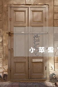 小苹果贷款违法 小苹果贷款违法