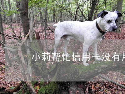 小莉帮忙信用卡没有用逾期七次 小莉帮忙信用卡没有用逾期七次