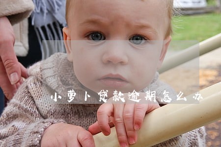 小萝卜贷款逾期怎么办 小萝卜贷款逾期怎么办