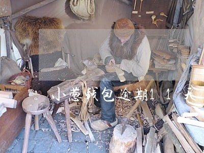 小葱钱包逾期11天 小葱钱包逾期11天
