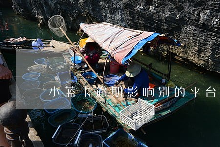 小蓝卡逾期影响别的平台贷款吗 小蓝卡逾期影响别的平台贷款吗
