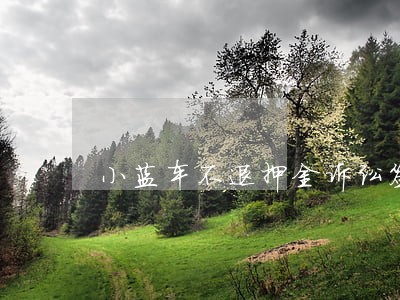 小蓝车不退押金诉讼签名