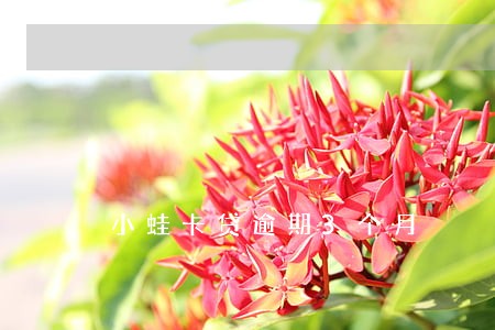 小蛙卡贷逾期3个月 小蛙卡贷逾期3个月