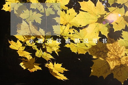 小融贷款逾期说明书 小融贷款逾期说明书