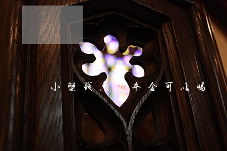 小蟹钱只还本金可以吗
