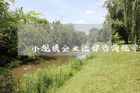 小规模企业法律咨询税率 小规模企业法律咨询税率