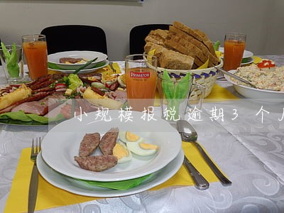 小规模报税逾期3个月 小规模报税逾期3个月