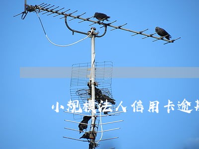 小规模法人信用卡逾期 小规模法人信用卡逾期