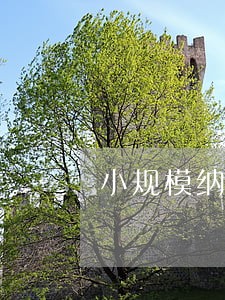 小规模纳税人逾期罚款5000 小规模纳税人逾期罚款5000