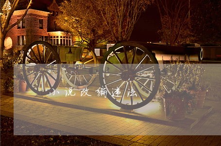 小说改编违法 小说改编违法