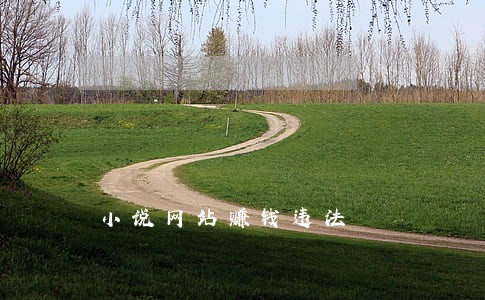 小说网站赚钱违法 小说网站赚钱违法