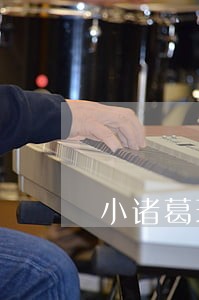小诸葛理财逾期qq群 小诸葛理财逾期qq群