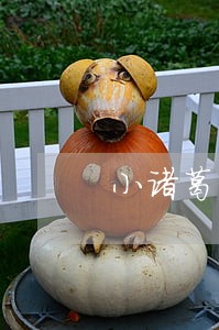 小诸葛网贷逾期不还 小诸葛网贷逾期不还